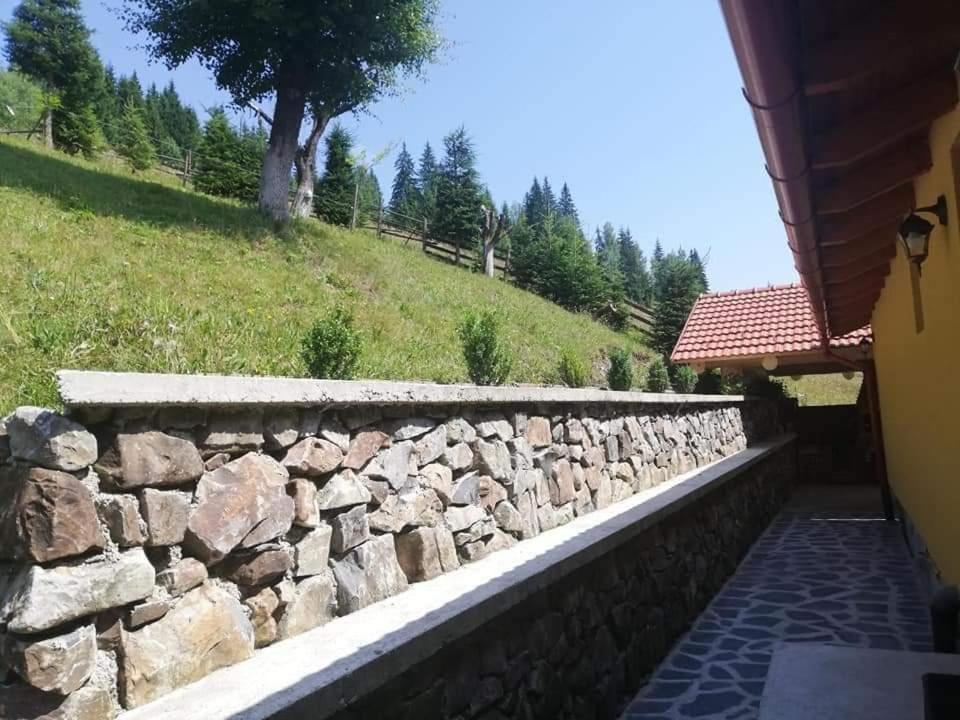 Villa Casa Anghel à Bilbor Extérieur photo